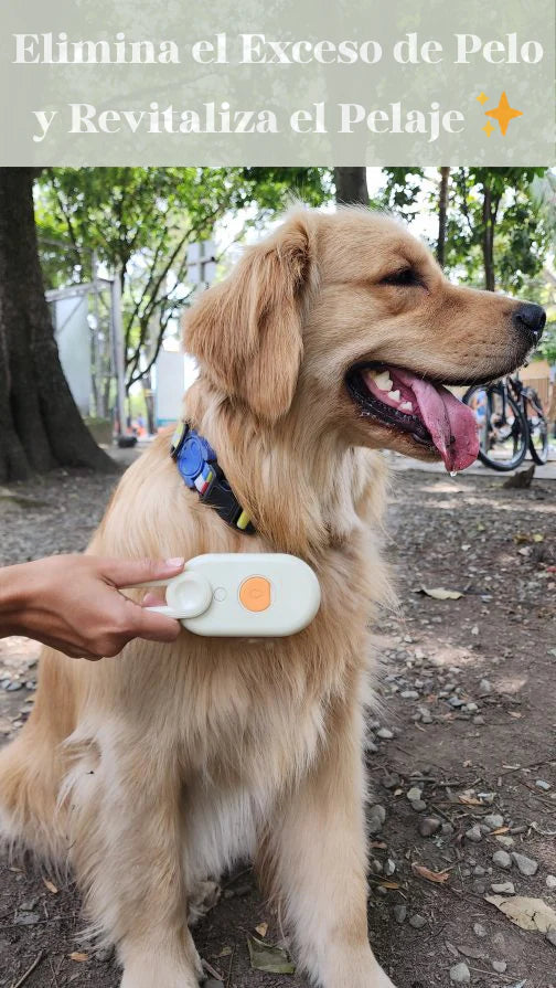 Cepillo Vapor Recargable para Mascotas
